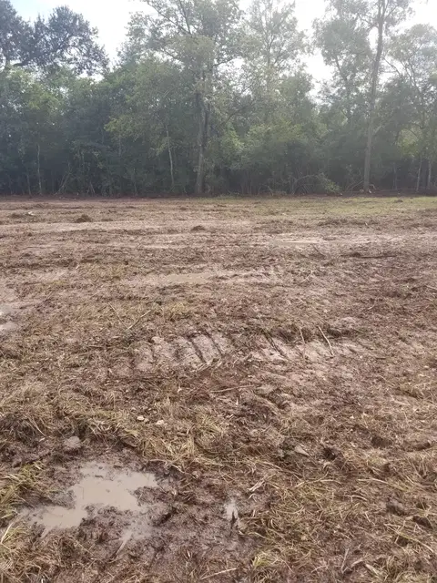 Site Clearing project photo 2