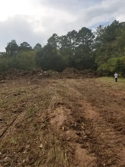 Site Clearing project photo 3